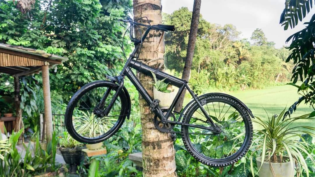 Hathawariya Green View Cabin タール エクステリア 写真